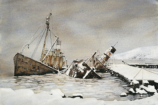 Dias & Albatros - Acquarello