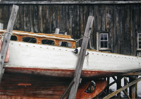 Dory Shop - Acquarello