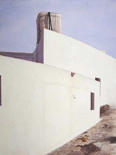 Ginostra chiocciola - Acquarello