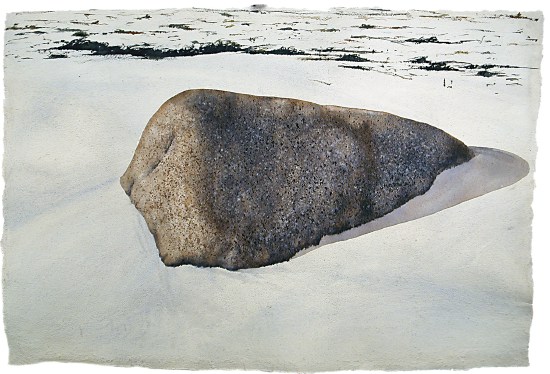 &Icirc;le Callot alghe - Acquarello su carta indiana