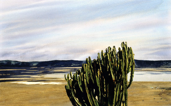 Ngorongoro #1 - Acquarello