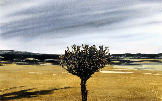 Ngorongoro #3 - Acquarello